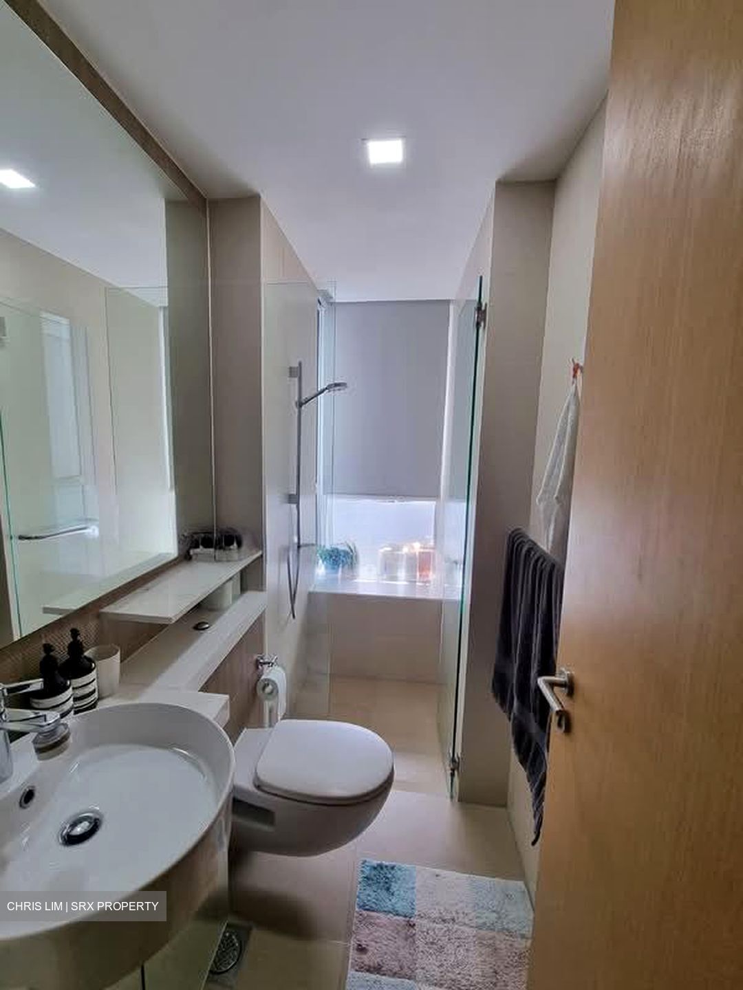 The Regency At Tiong Bahru (D3), Condominium #558847161